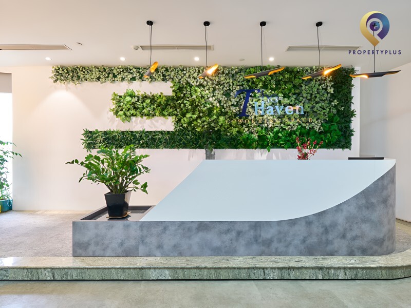 The Haven Coworking 